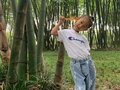 -望江楼公园