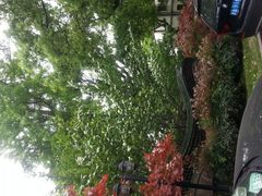 android_upload_pic-申粤轩酒楼·三十年粤菜经典(丁香花园店)
