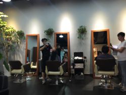 -discovery 发现 hair salon