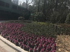 -徐家汇源景区-衡山公园