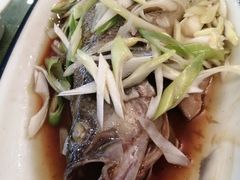 特价鲈鱼-桃子餐厅·天津菜(红星路直营店)