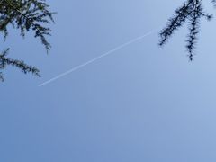 -洨河生态公园