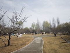 -廊坊市自然公园