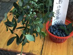 -长兴慧子土特产茶行
