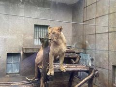-西安秦岭野生动物园