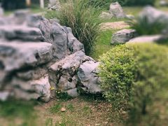 -菊花台公园