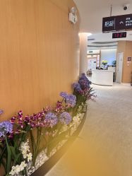 -天津伊美尔医疗整形美容专科医院