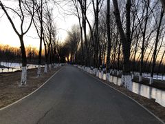 -东郊湿地公园