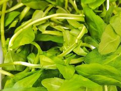 -全乐鱼馆·淳牌有机鱼直营店