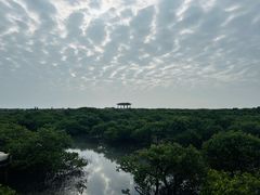 -北海金海湾红树林生态旅游区