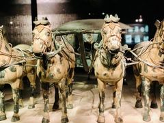 -秦始皇帝陵博物院(兵马俑)