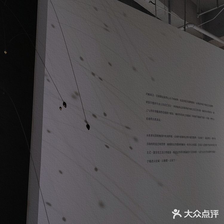【深圳看展】高级感满满的cbd花展,周末安排,再不去就闭展了