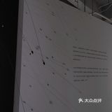 【深圳看展】高级感满满的cbd花展，周末安排，再不去就闭展了