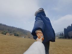-武陵山森林公园