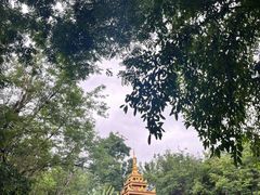 -曼听御花园
