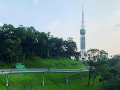 -广州雕塑公园
