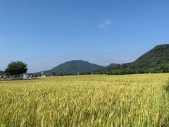 -艾米稻香小镇