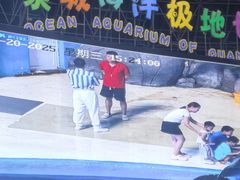 -泉城欧乐堡海洋极地世界