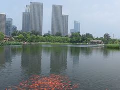 -西海子公园