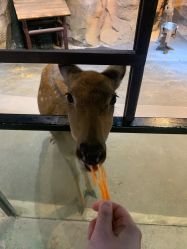 -酷嗒动物文化乐园(cutezoo西溪乐天城店)