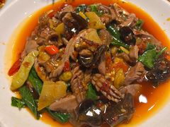 -陈麻婆豆腐总店