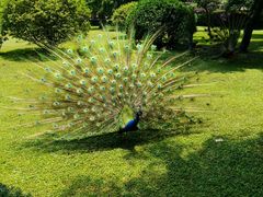-天赐温泉