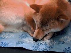 -About Bistro關於·泰式家庭料理