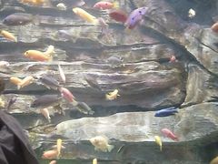 -多彩贵州城极地海洋世界