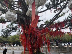 -南沙天后宫景区