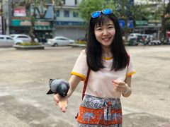 -蝶豆花蓝面条