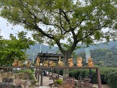 -树山生态村