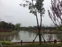 -九科绿洲