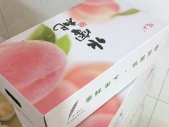 -老袁家蜜桃农场·阳山水蜜桃