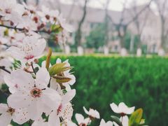 -山东师范大学(千佛山校区)