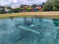 -上海玛雅海滩水公园