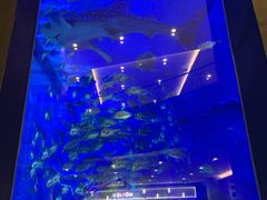 -成都浩海立方海洋公园