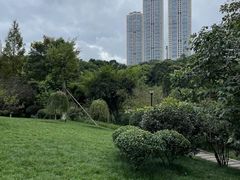 -龙头寺公园