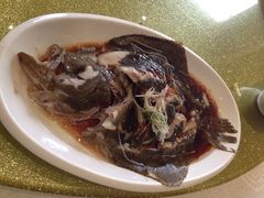2015年4月11日，周六，Ma、Lao…-河北云瑧世纪大饭店