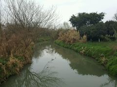 -白鹭湾湿地公园