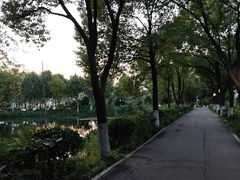 -金银湖国家城市湿地公园
