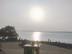 -宝安西湾红树林湿地公园