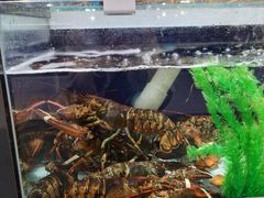 水产区-盒马鲜生(新都心店)