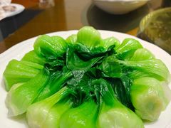 白灼瓢儿白-传奇唐·悠悠私房菜