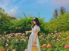 -人民公园(罗湖区)