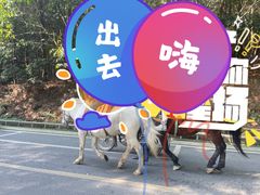 -铁山坪森林公园