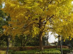 -苏州河梦清园环保主题公园