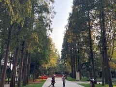 -西哟GoGo韩式炸鸡(三盛国际广场店)