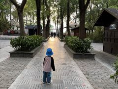 -溱湖国家湿地公园