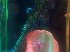 -沈阳海洋探索中心