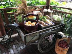 -青城山六善酒店·紫氣園中餐厅